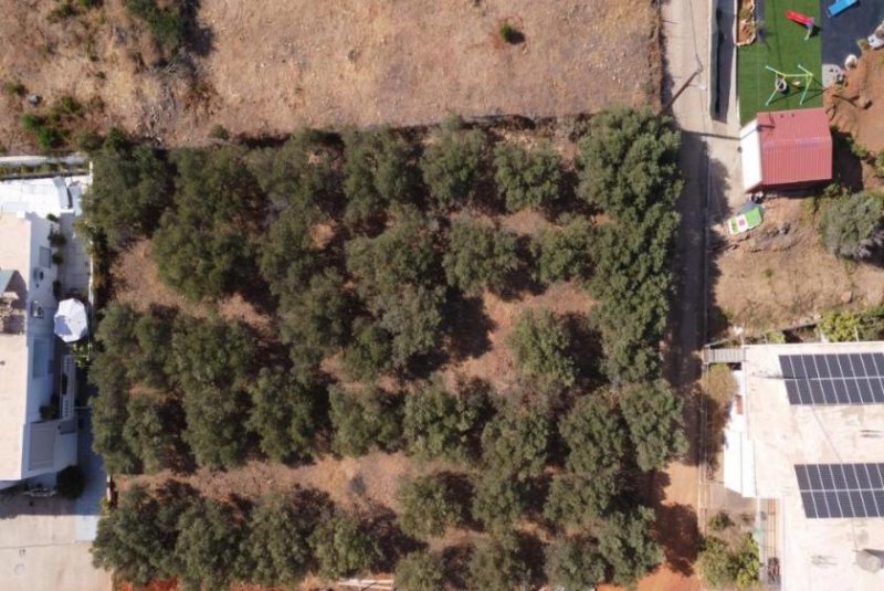 Agioi Apostoli Kreta, Agioi Apostoli: Grundstück mit Meerblick in der Nähe des Stadtzentrums zu verkaufen Grundstück kaufen